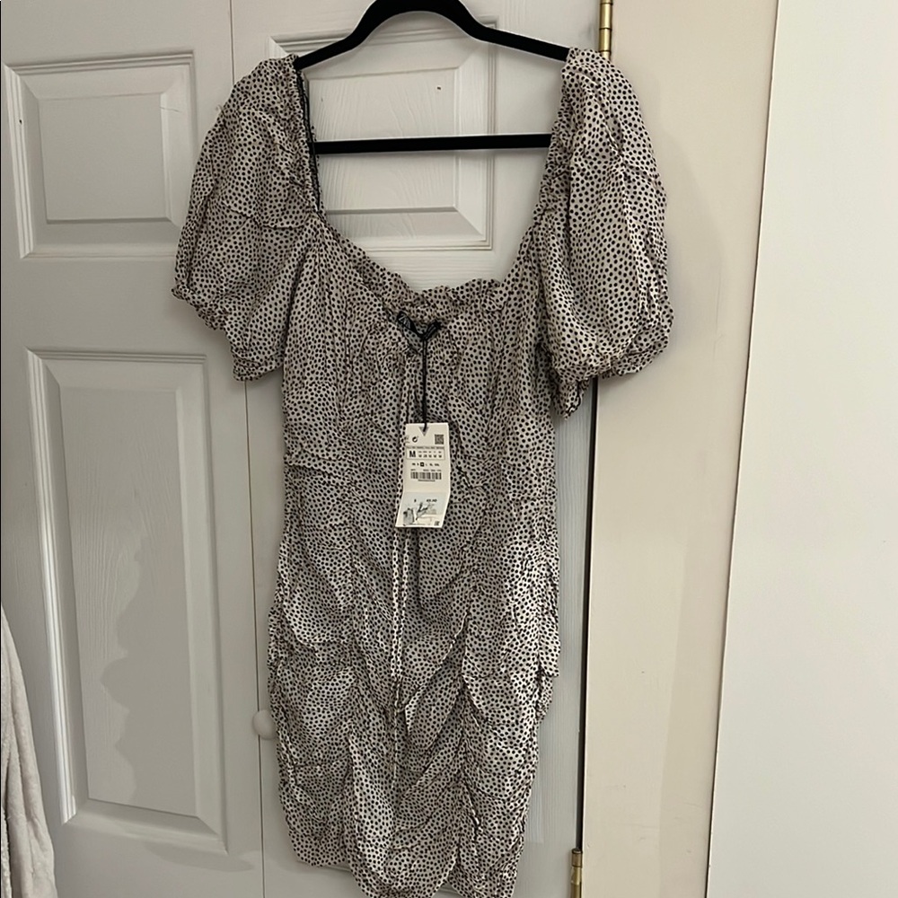 Zara Black and tan Polka Dot Dress